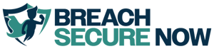 bsn logo